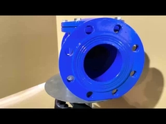 Válvula de verificación de hierro fundido de asiento de goma OEM con contrapeso resistente a la corrosión