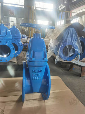 Class A DN50 Rising Stem Gate Valve Resilient Wedge Valve ANSI Standard