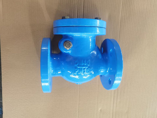 Customized 3 inch Swing Cast Iron Check Valve For Water Pump JIS B2043